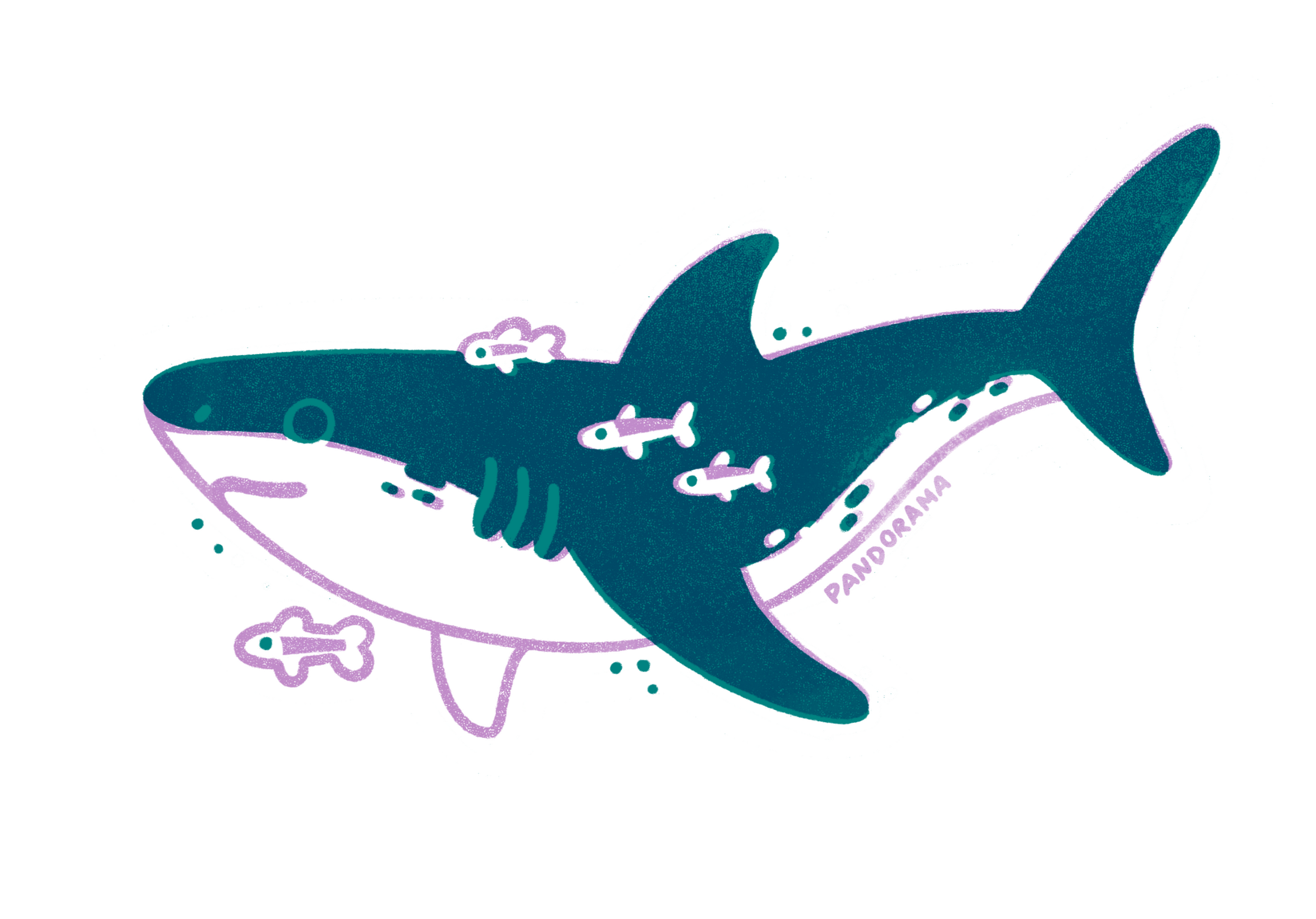 Hai Stickerdesign