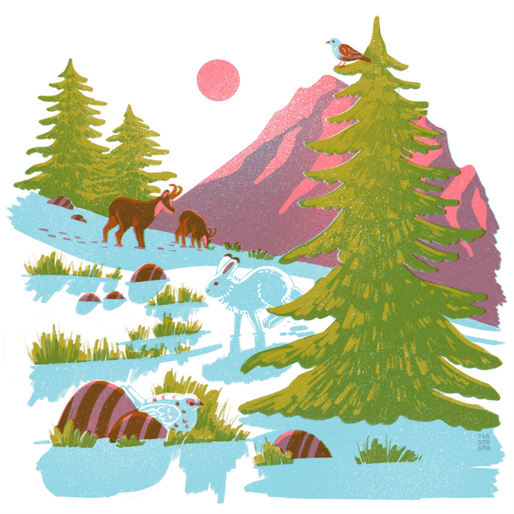 Alpenfauna Editorial Illustration